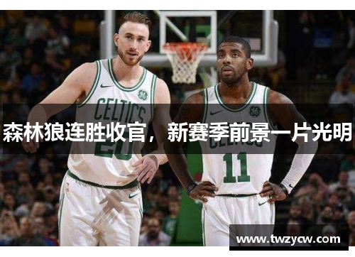 森林狼连胜收官,新赛季前景一片光明